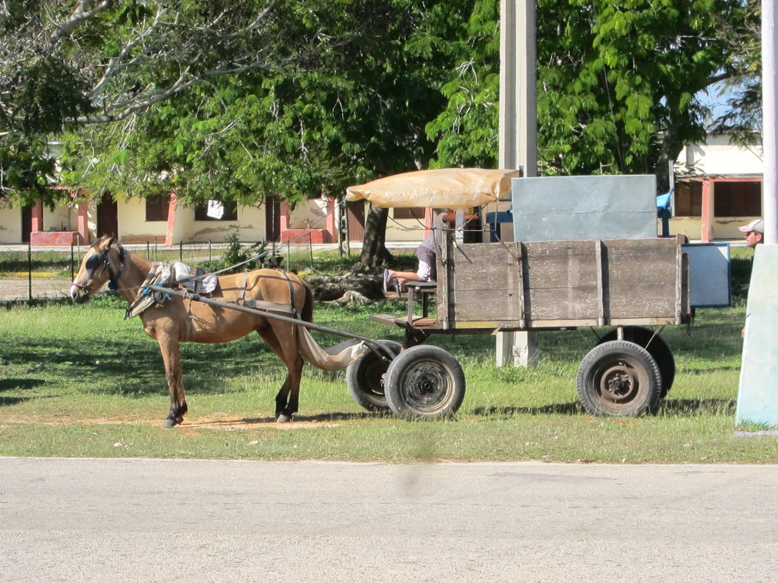A closer look.  Most of these vehicles moved at a trot.